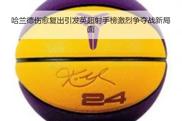 img_1791408662649_33_1_557.jpg